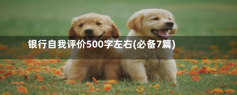 银行自我评价500字左右(必备7篇)