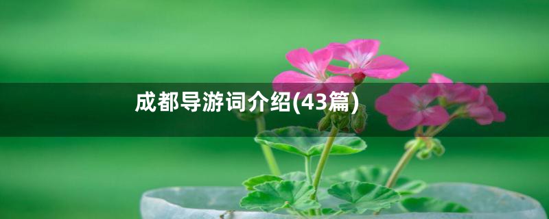 成都导游词介绍(43篇)