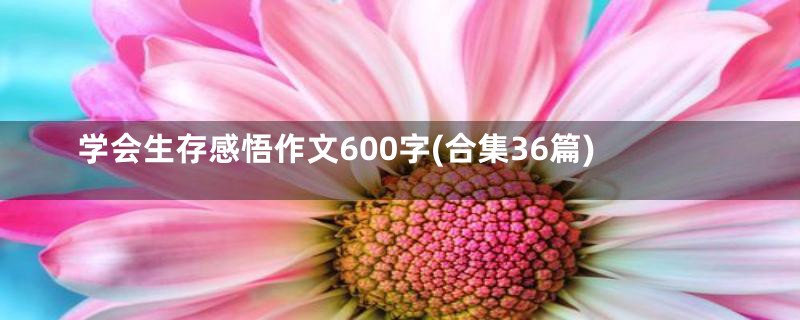 学会生存感悟作文600字(合集36篇)