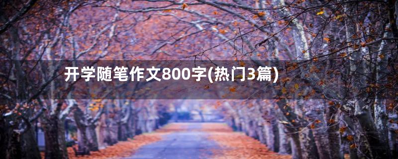 开学随笔作文800字(热门3篇)