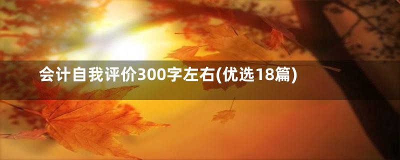 会计自我评价300字左右(优选18篇)