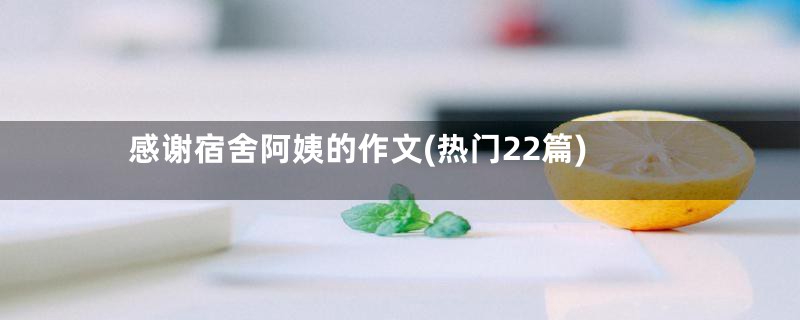 感谢宿舍阿姨的作文(热门22篇)