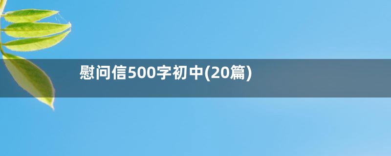 慰问信500字初中(20篇)