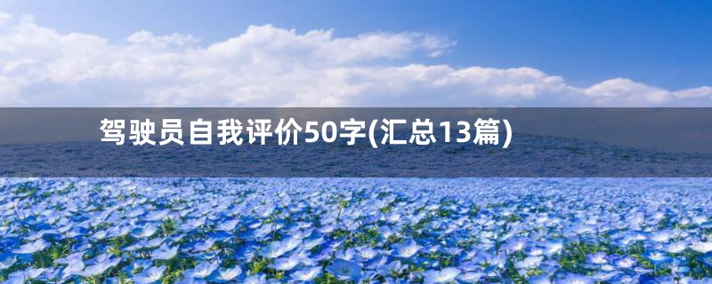 驾驶员自我评价50字(汇总13篇)