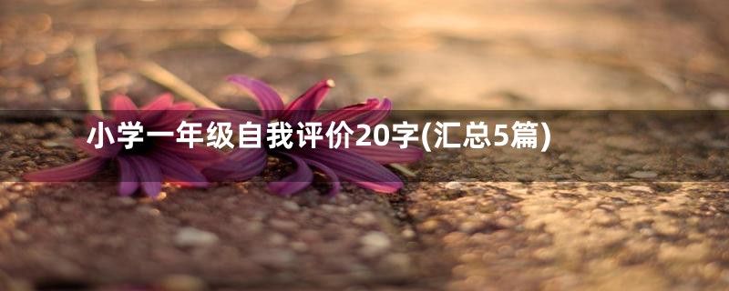 小学一年级自我评价20字(汇总5篇)