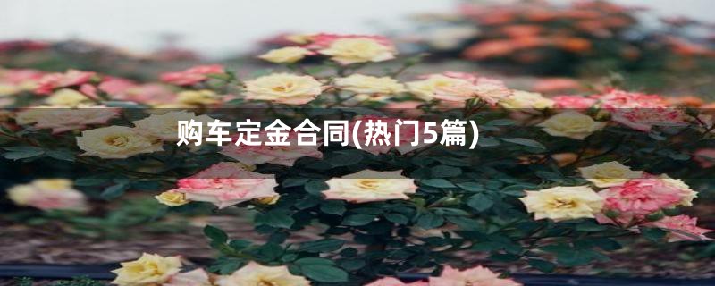 购车定金合同(热门5篇)