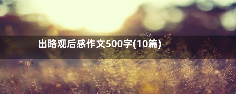 出路观后感作文500字(10篇)