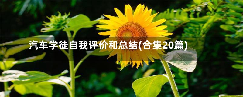 汽车学徒自我评价和总结(合集20篇)