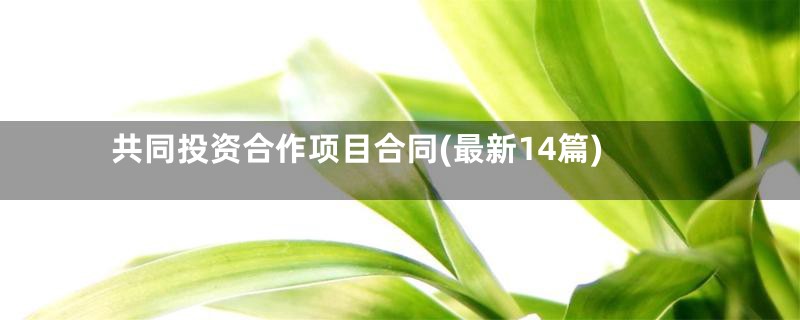 共同投资合作项目合同(最新14篇)