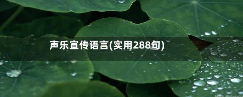 声乐宣传语言(实用288句)