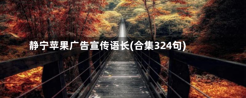 静宁苹果广告宣传语长(合集324句)