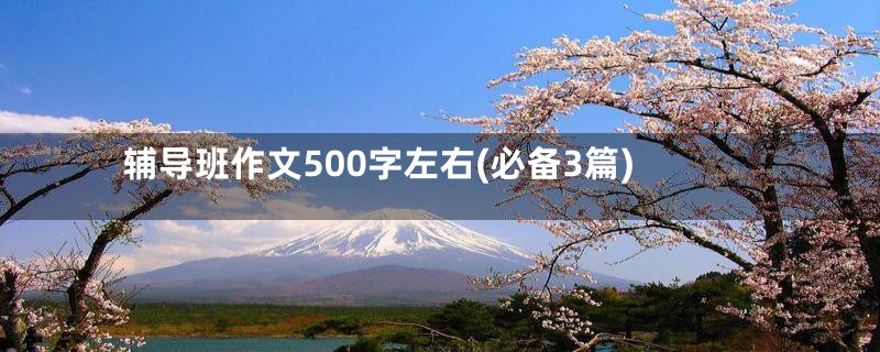 辅导班作文500字左右(必备3篇)