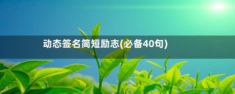 动态签名简短励志(必备40句)