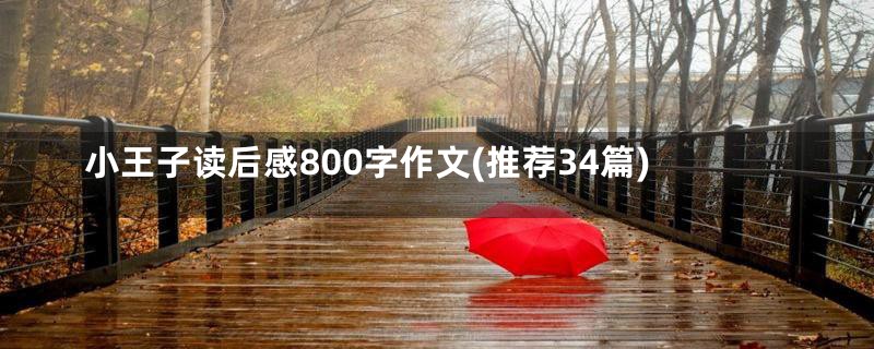 小王子读后感800字作文(推荐34篇)