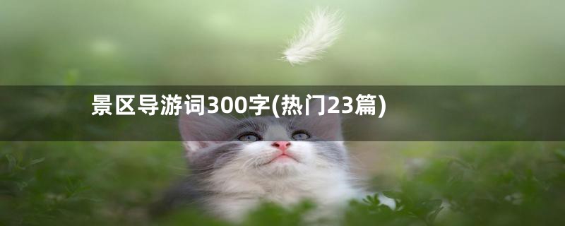 景区导游词300字(热门23篇)