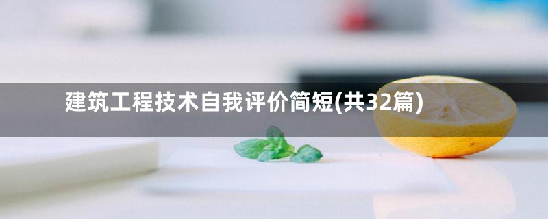 建筑工程技术自我评价简短(共32篇)