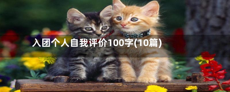 入团个人自我评价100字(10篇)