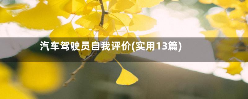 汽车驾驶员自我评价(实用13篇)