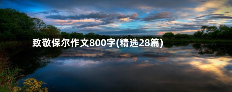 致敬保尔作文800字(精选28篇)