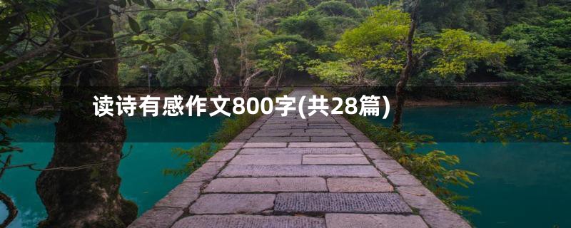 读诗有感作文800字(共28篇)