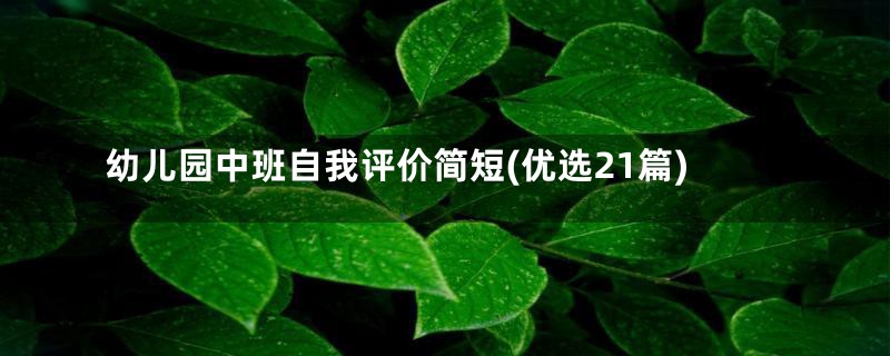 幼儿园中班自我评价简短(优选21篇)