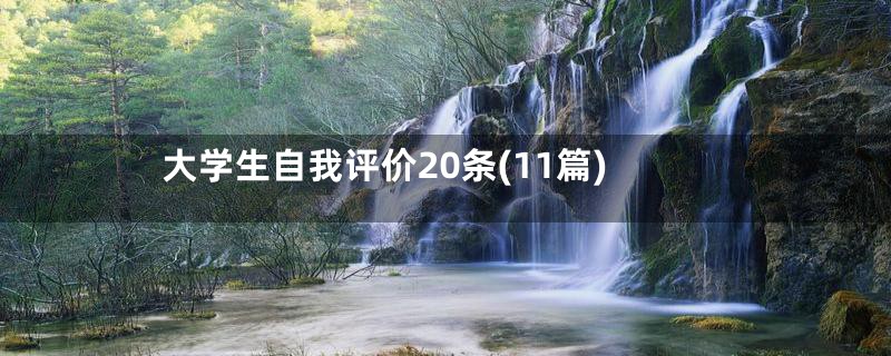 大学生自我评价20条(11篇)