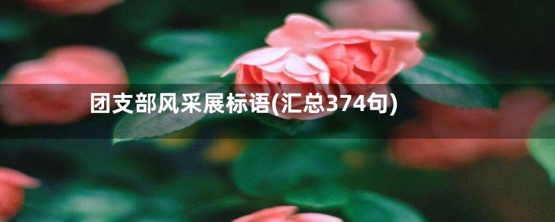 团支部风采展标语(汇总374句)