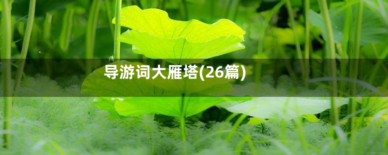 导游词大雁塔(26篇)