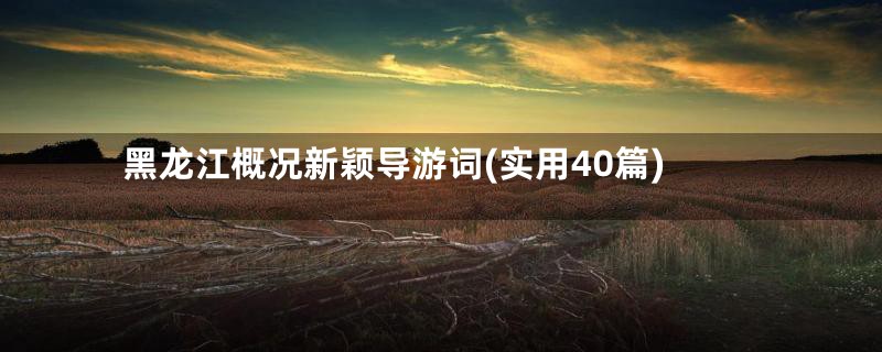 黑龙江概况新颖导游词(实用40篇)