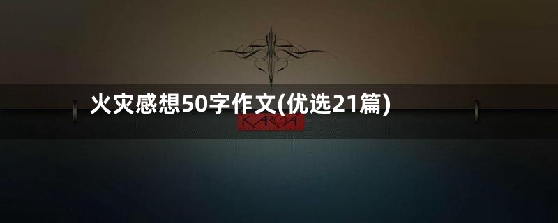 火灾感想50字作文(优选21篇)