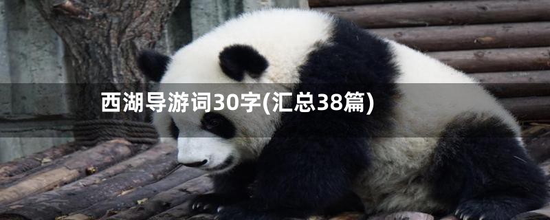 西湖导游词30字(汇总38篇)