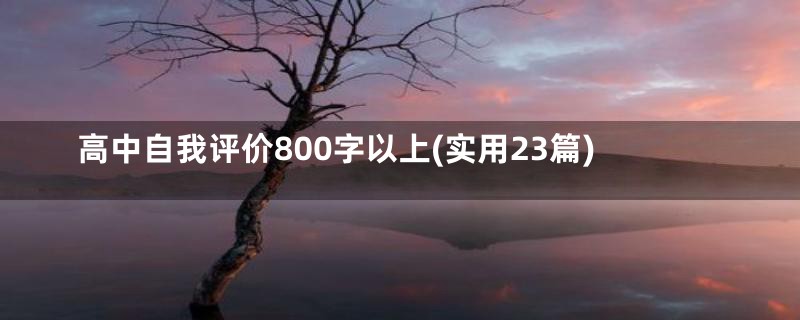 高中自我评价800字以上(实用23篇)