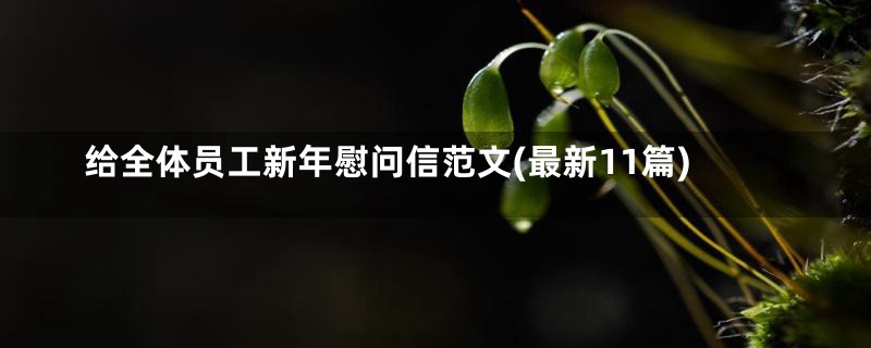 给全体员工新年慰问信范文(最新11篇)