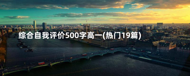 综合自我评价500字高一(热门19篇)