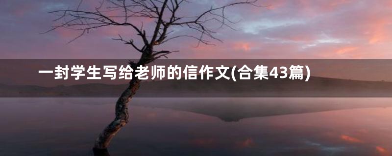 一封学生写给老师的信作文(合集43篇)