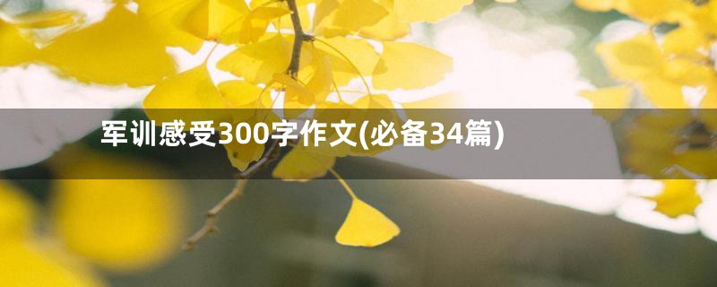 军训感受300字作文(必备34篇)