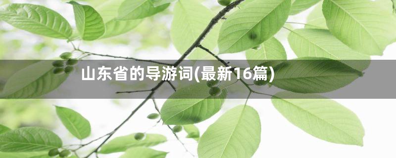 山东省的导游词(最新16篇)