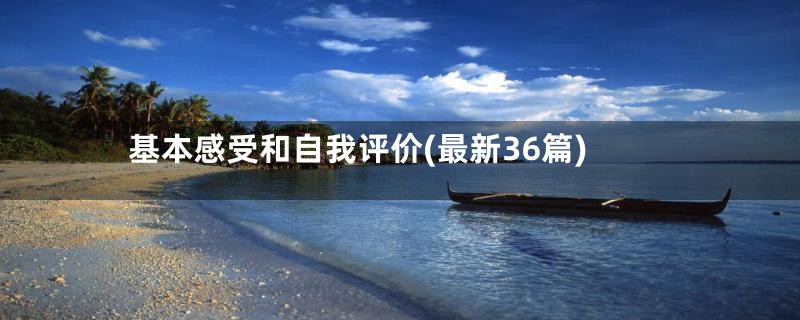 基本感受和自我评价(最新36篇)