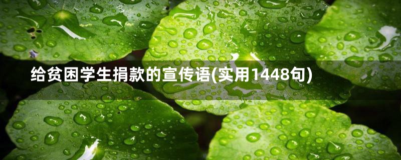 给贫困学生捐款的宣传语(实用1448句)