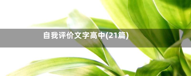 自我评价文字高中(21篇)