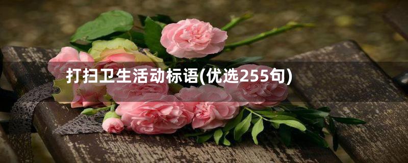 打扫卫生活动标语(优选255句)