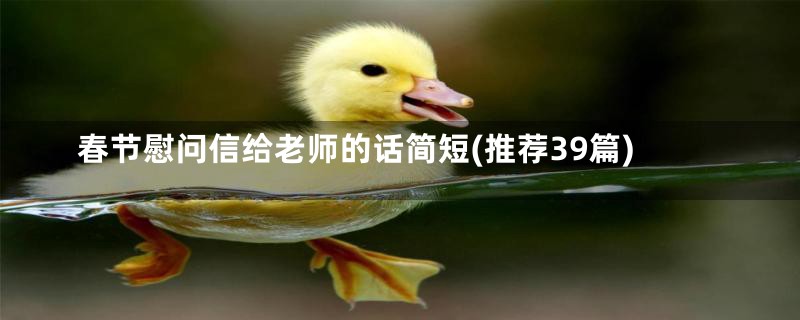 春节慰问信给老师的话简短(推荐39篇)