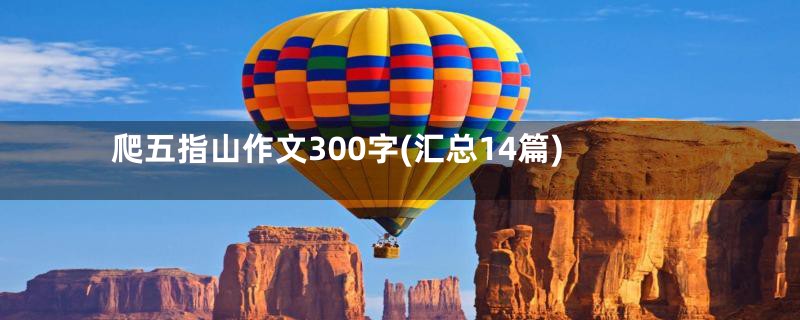 爬五指山作文300字(汇总14篇)