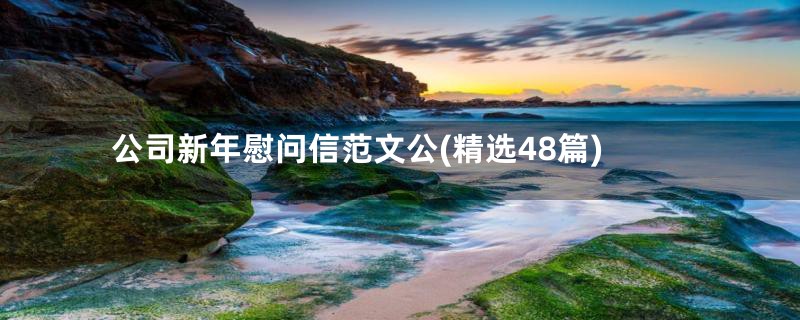 公司新年慰问信范文公(精选48篇)