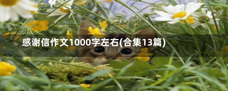 感谢信作文1000字左右(合集13篇)