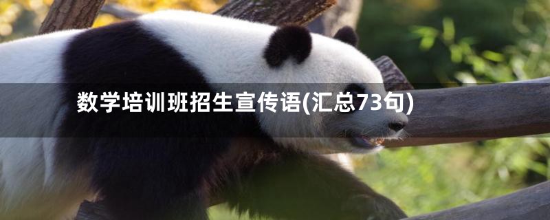 数学培训班招生宣传语(汇总73句)