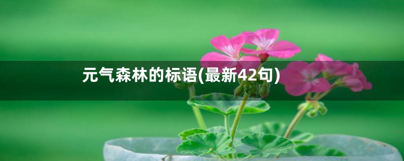 元气森林的标语(最新42句)