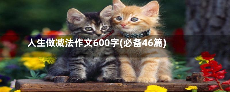 人生做减法作文600字(必备46篇)