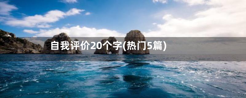 自我评价20个字(热门5篇)