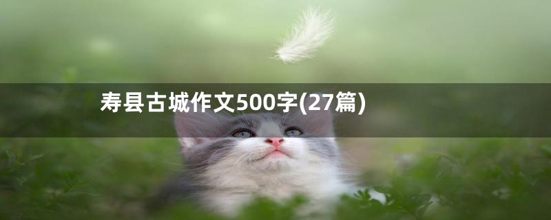 寿县古城作文500字(27篇)